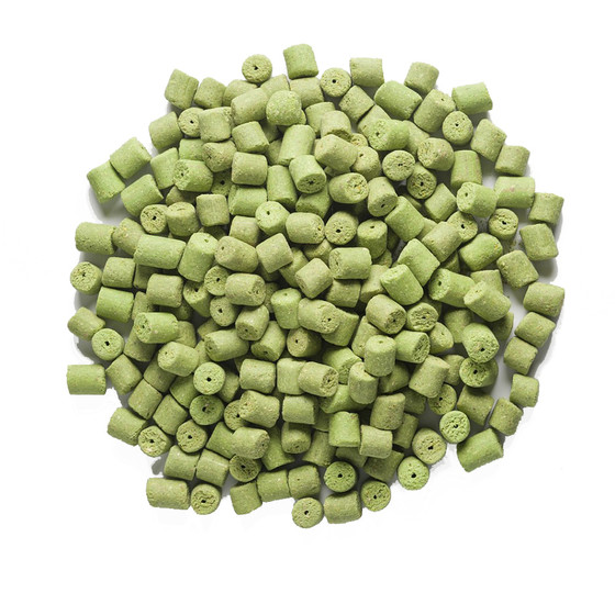 Fisch Pellets 1 kg Rapid Easy Catch Garlic 12 mm