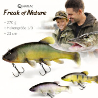 Quantum Freak of Nature SwimBait Tench 1 gallery