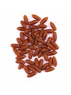 Künstliche Maden Angel Köder Trende