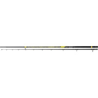 Black Cat Wels Spinnrute Waller Perfect Passion Spin 2,70m 6