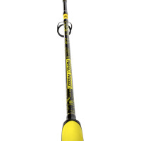 Black Cat Spinnrute Bootsrute Perfect Passion Boat Spin 2,40