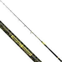 Black Cat Waller Vertikalrute Wels Perfect Passion Vertical 