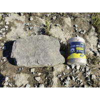 Black Cat Stone Rig Line Sisal Schnur Steinmontage Ø 