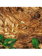 Karpfen Rig Montagen Zubehör Knot P gallery