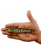 Rotauge 8 tlg. Wobbler 2