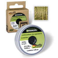 Radical Unloaded Dropcore Leader Karpfen gallery