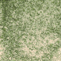 Bratfischgewürzsalz 100 g Beutel Fischgewürz zum B