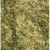 Forellengewürz 100 g Beutel Fischgewürz Forelle 2