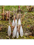 Sbirulino schwimmend gallery