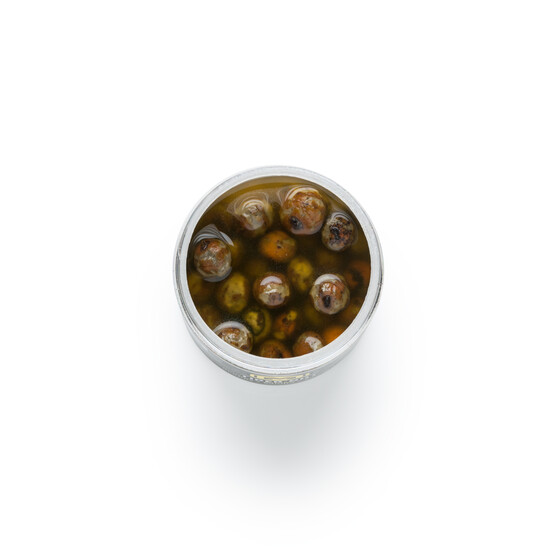 Tigernsse gefrbt Karpfen Tigernuss mit Aroma angelfertig 250 ml Scopex / Vanille