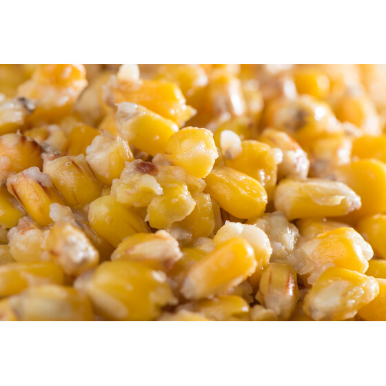 Mais gedmpft Partikel Futter angelfertig Karpfen Carp Corn Natur 1 kg