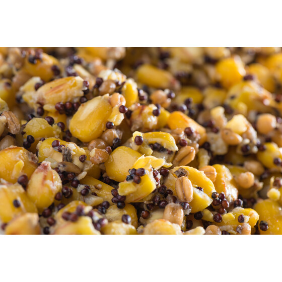 Partikel Mix gedmpft Mais Weizen Raps Karpfen Futter 5 kg