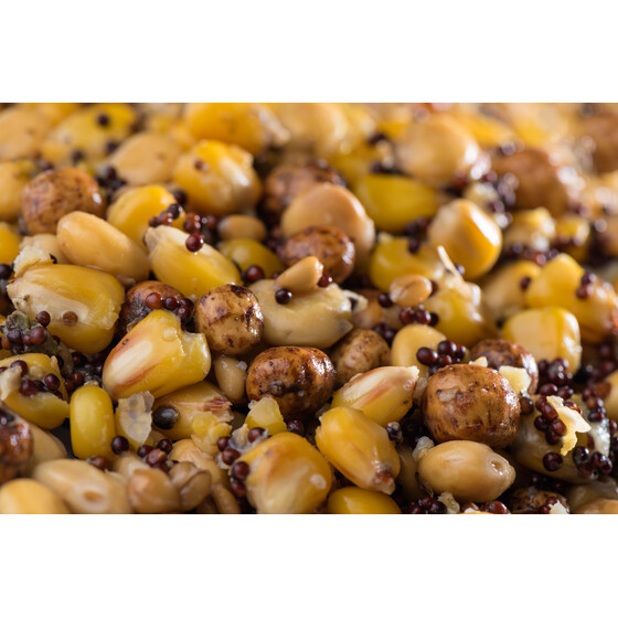 Partikel Mix Premium Mais Weizen Raps Lupinen Tigernsse Hanf 1 kg