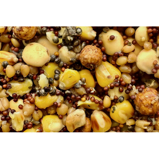Partikel Mix Premium Mais Weizen Raps Lupinen Tigernsse Hanf 1 kg
