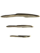 Gummiaale Raubfisch Köder natur gallery