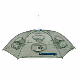 Köderfischreuse Fisch Senke groß