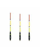 Karpfen Pose Waggler Posen Allround gallery