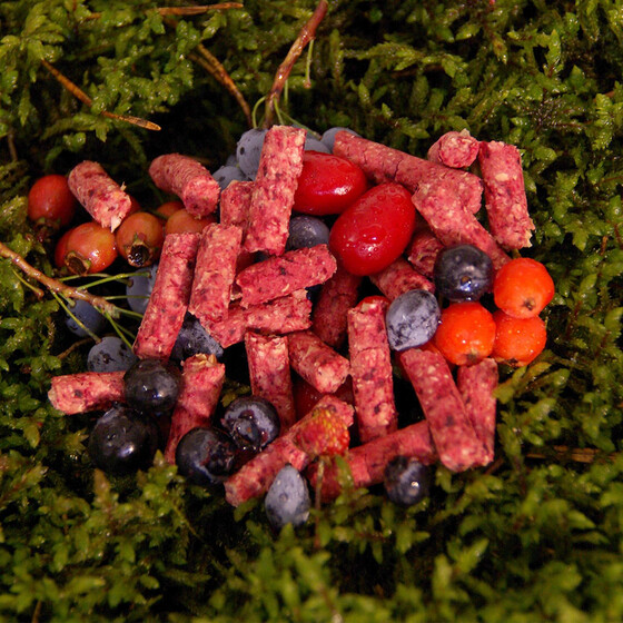 Fisch Pellets Karpfen Kder Red Berry Carp 800 g