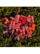 Fisch Pellets Karpfen Köder Red Berry Ca