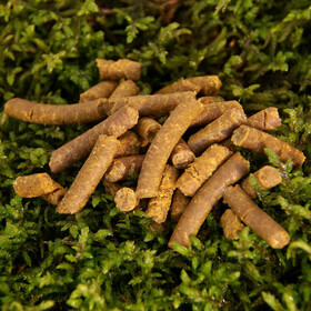 Fisch Pellets Karpfen Kder Thai Fish Carp 800 g