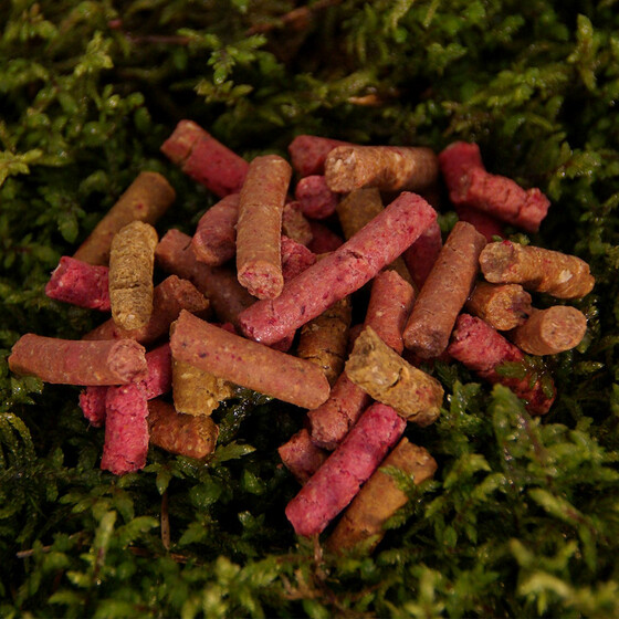 Fisch Pellets Karpfen Kder Thai Fish vs Red Berry 800 g