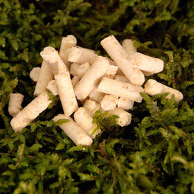 Fisch Pellets Karpfen Köder 1ste Sahne Karamell 800 g