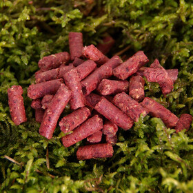 Fisch Pellets Karpfen Köder Red Fish Carp 800 g