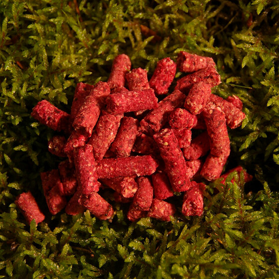 Fisch Pellets Karpfen Köder Erdberry sweet 800 g