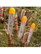 3 Hecht Posen Set Slim Runner 10 - 35 g 2