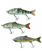 Wobbler Weißfisch Plötze Fore gallery