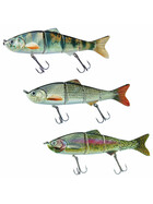 Wobbler Weißfisch Plötze Forelle 2