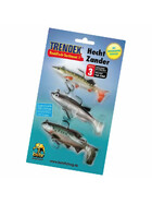 Raubfisch Sortiment 1 - Hecht und Zander