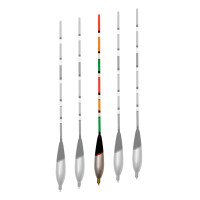 Vorbebleite Waggler - 6+2g slider