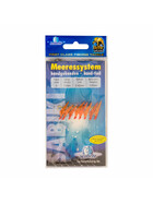 Heringspaternoster Makrelen Paternoster orang