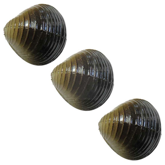 Angelkder fr Karpfen knstliche Muscheln 1
