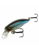 Forellen Wobbler schwimmend Trout Hunter rain