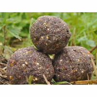 Mivardi V1 Extreme Grundfutter Lockfutter Karpfen 2850 g Fis