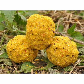 Grundfutter 3 kg Mivardi V1 Extreme Karpfen Scopex-Vanille