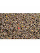 Grundfutter 3 kg Mivardi V1 Extreme Halibut-Pfefferkuchen 2