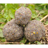 Mivardi V1 Extreme Grundfutter Lockfutter Karpfen 2850 g Hal